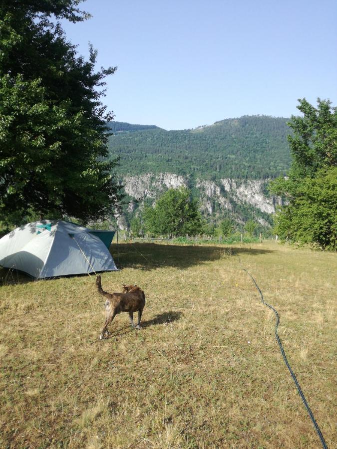 Rafting Camp Apartments Montenegro Goran Lekovic Žabljak Exterior foto